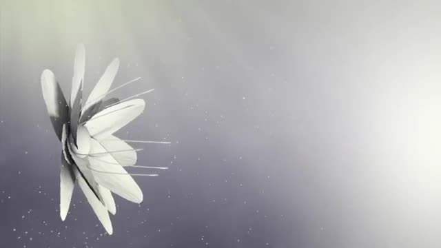 Overcoming Pain, Blame & Shame | Anne Beiler | TEDxWillowCreek