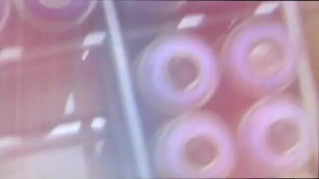 blink-182 - Blame It On My Youth (Lyric Video)