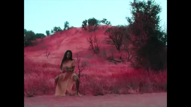 Gunna - Baby Birkin (Starring Jordyn Woods) [Official Video]