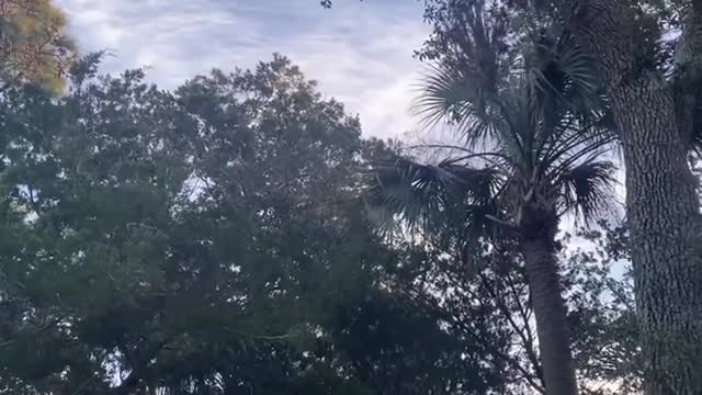 TSLE WLI: Are You Teachable