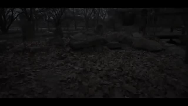 Phosphorescent - Song For Zula