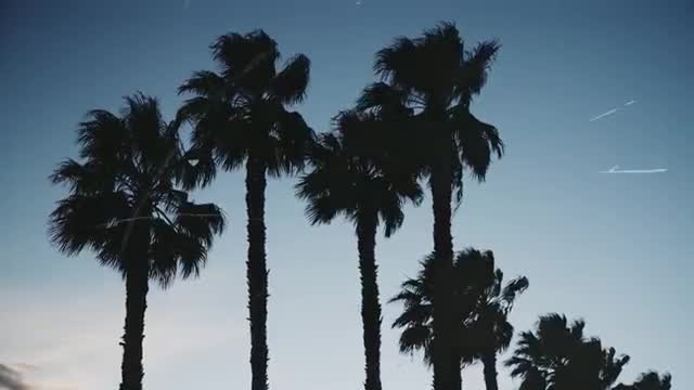 Brewers on Tap – Unfiltered: Training with Ryan Braun