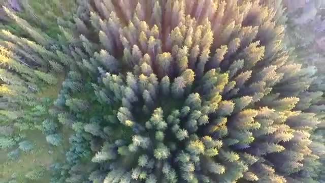 Jade Cicada - Lost Again (Official Video)