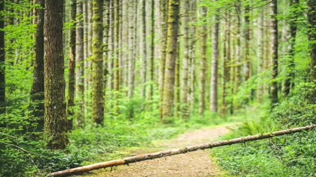 TEDx - Seeing the Power of Interdependence