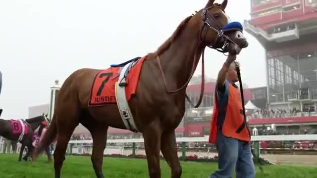 Belmont Stakes 2018 | Bob Baffert, Mike Smith eye Triple Crown history