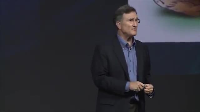 Even Monkeys Fall From Trees