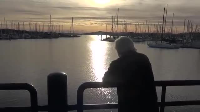 David Helvarg & The Blue Frontier