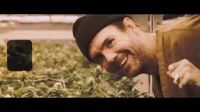 Dirty Heads - Lift Me Up (Official Music Video)