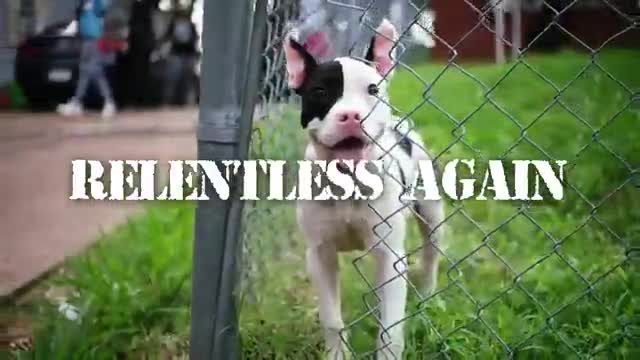 Moneybagg Yo - Relentless Again