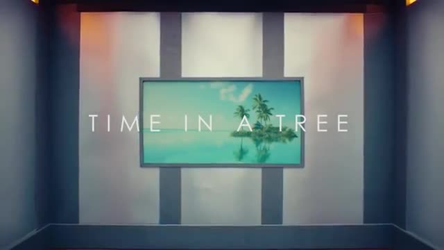 Raleigh Ritchie - Time in a Tree (Official Video)