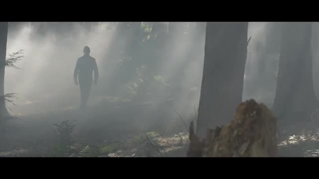 Seven Drunken Nights