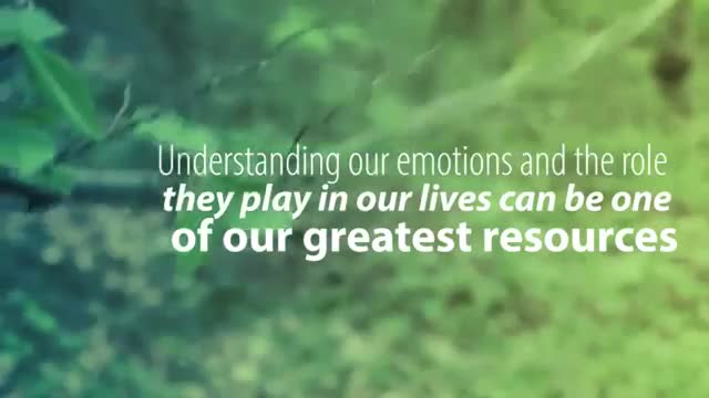 Emotions Seminar Trailer with Tom Basciani