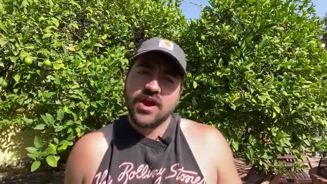 Liberal Redneck - Yellin Bout Ellen