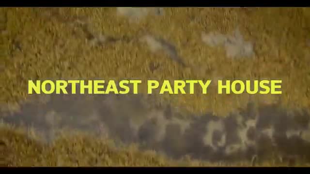 Northeast Party House - Calypso Beach [Official Video]