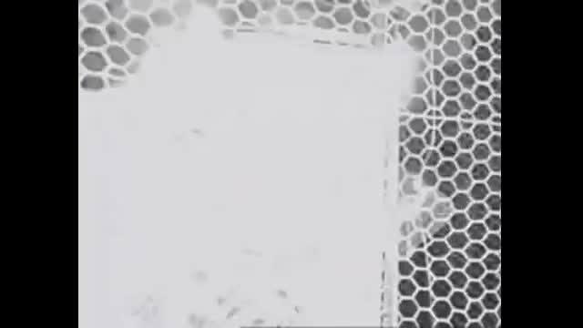 Melvins - Revolve (Music Video)