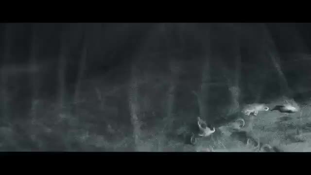 Tom Morello "Every Step That I Take" ft. Portugal. The Man & Whethan (