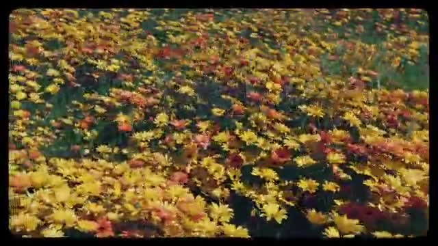 PJ - One Missed Call [Official Video]