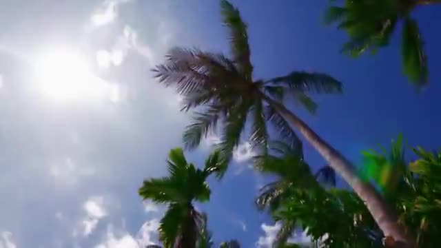 Tinashe - Superlove