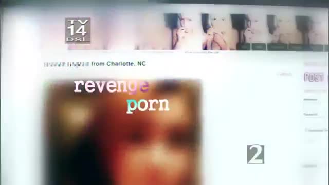 The Katie Couric Show