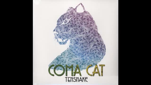 Coma Cat