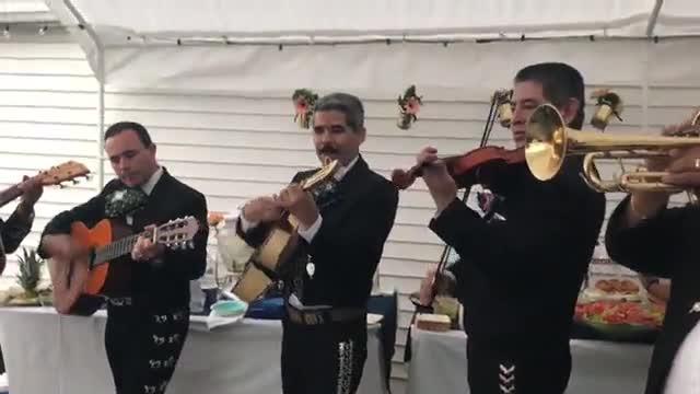 La viquina