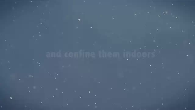 Rachael Robertson Highlights Reel