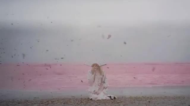 When the Lilies Die