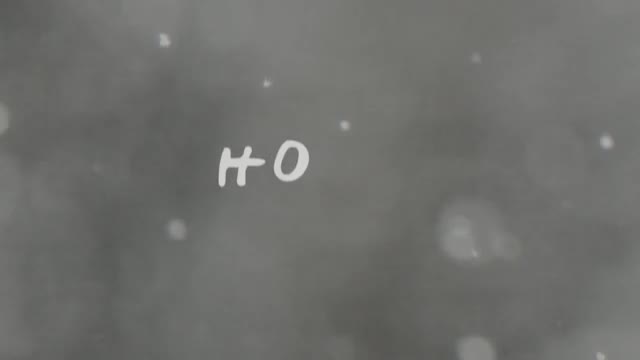 ASHLEE + EVAN - Home (Lyric Video)