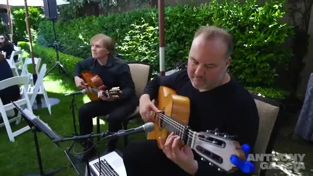 Flamenco Guitarist