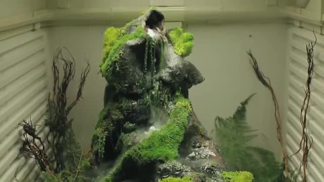 MAGIC FOUNTAIN