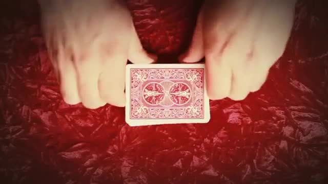 The CardShark