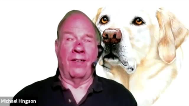 Virtual Presentation demonstration.