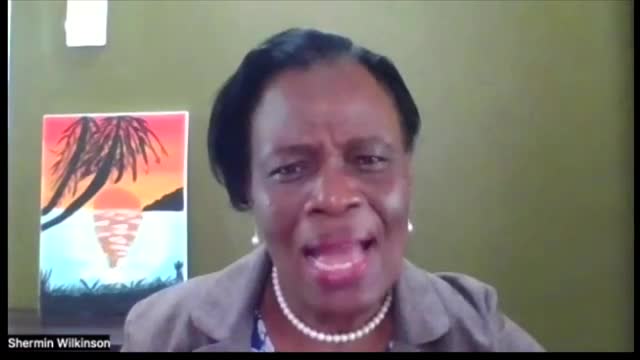 Virtual Presentation demonstration.