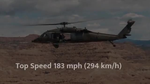 Introduction Video for Elizabeth McCormick