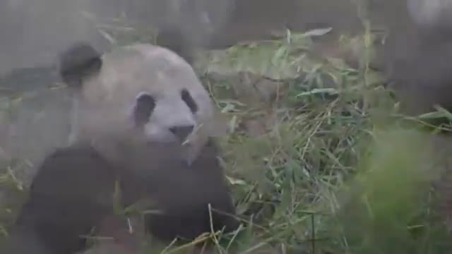 Martin Yan's China: Roadside Restaurant