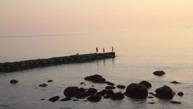 Blue Mind Speaker Reel