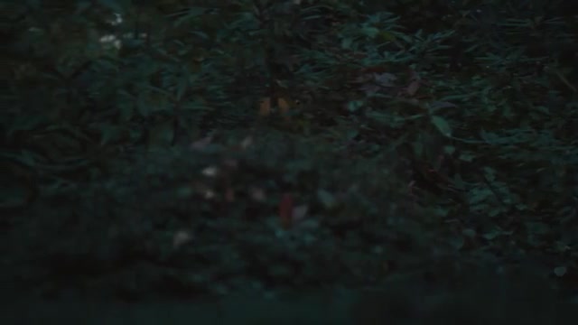 Okay Kaya - Dance Like U