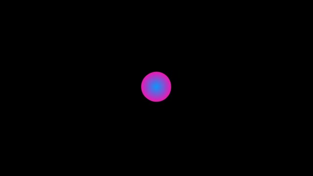 Rainbow Kitten Surprise - It's Called: Freefall [Official Video]