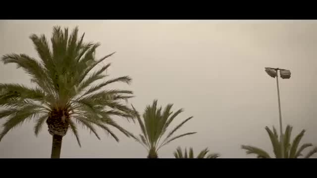 Sundae - The Cutkelvins Official Video