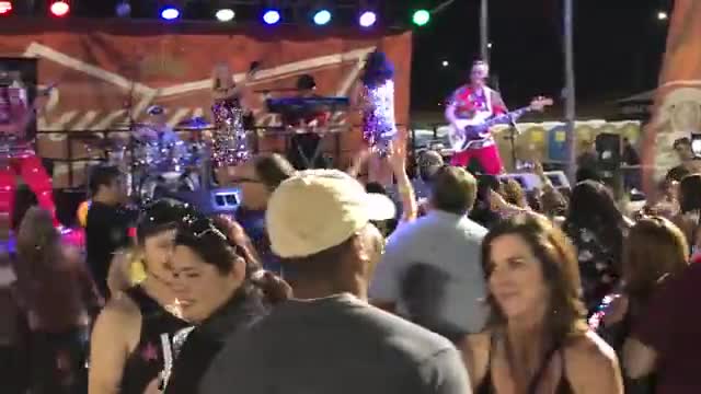 The Valley Cats