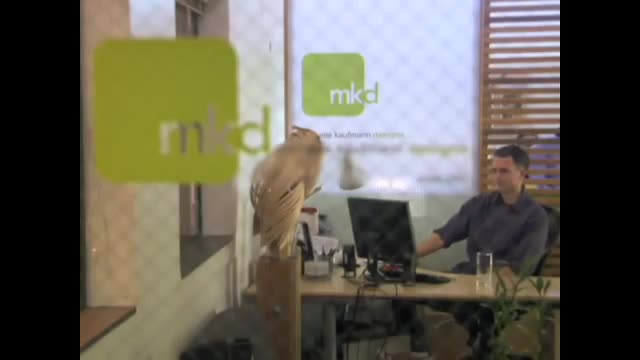 Google SketchUp: Michelle Kaufmann, A Case Study