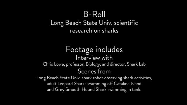 CSULB Shark Lab - Autonomous Underwater Robot, Various Shark Footage