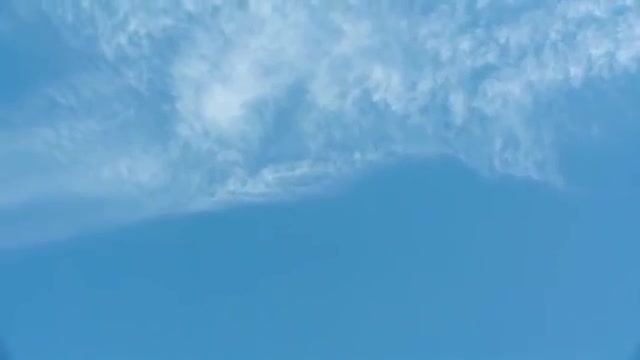 Maggie Lindemann - Friends Go (Official Video)