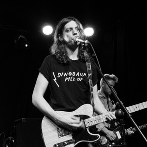 Vant