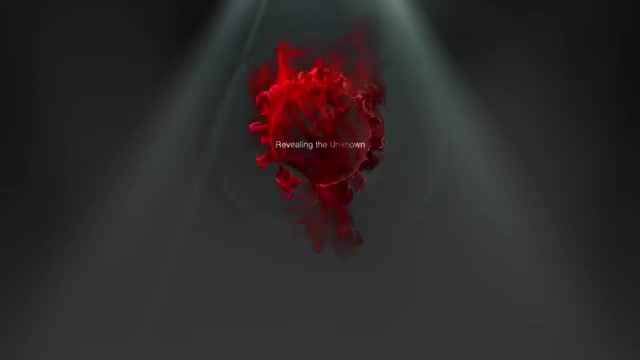 TedX Building Bridges