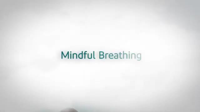 Mindful Breathing