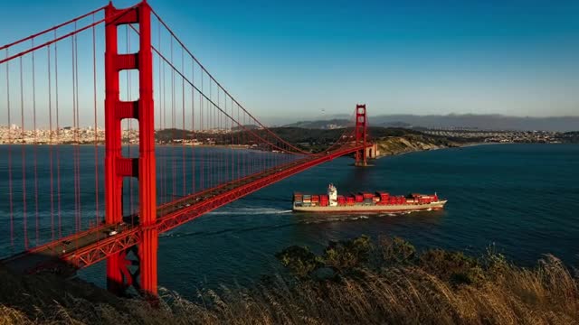 Why Trade Is Critical and Tariffs Fail