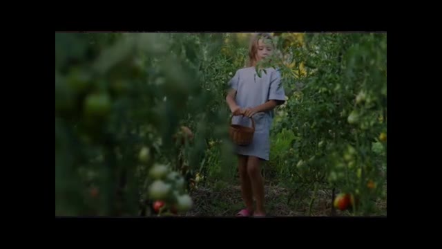 Jane Jenkins Herlong- Don't Cry Over an Ugly Tomato