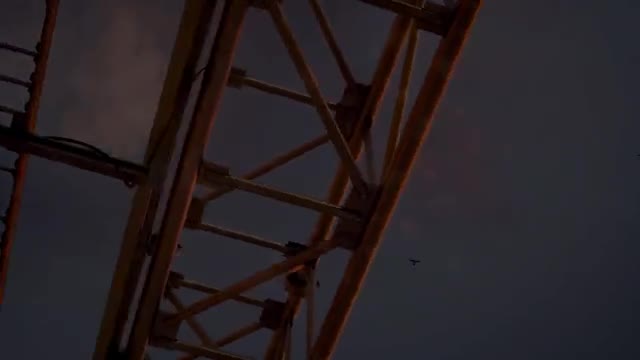 Tammy Zonker Speaker Reel