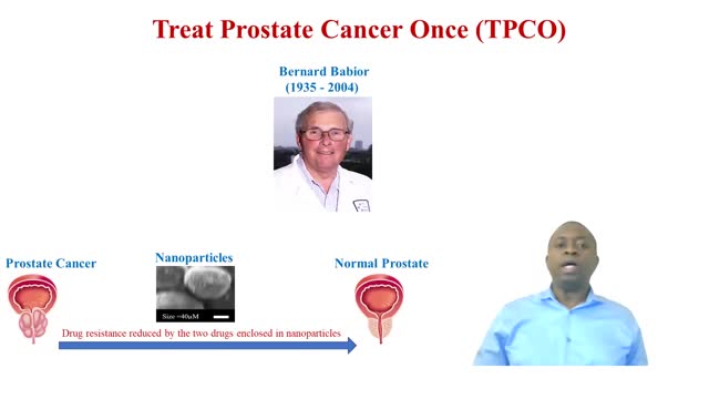 FAU 2021 3MT Competitor: Dr. Toluleke Famuyiwa